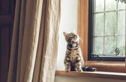 וילון חסין אש